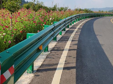 道路蜜桃视频观看网址